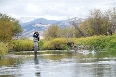 fly fishing bozeman mt|The 10 Best Fly Fishing Spots Near Bozeman, Montana.